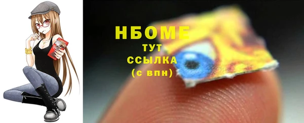 гашик Алексин
