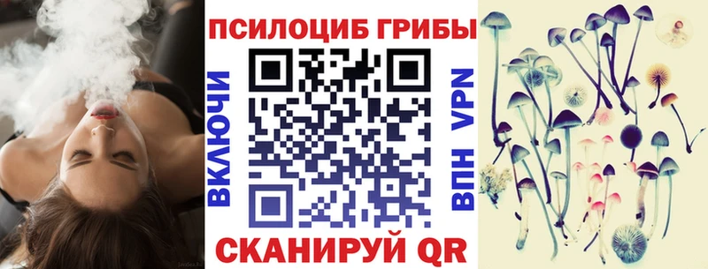 Псилоцибиновые грибы ЛСД  магазин продажи   Ладушкин 